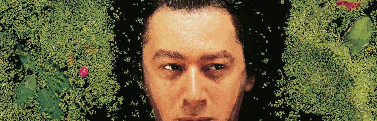 Hero background image