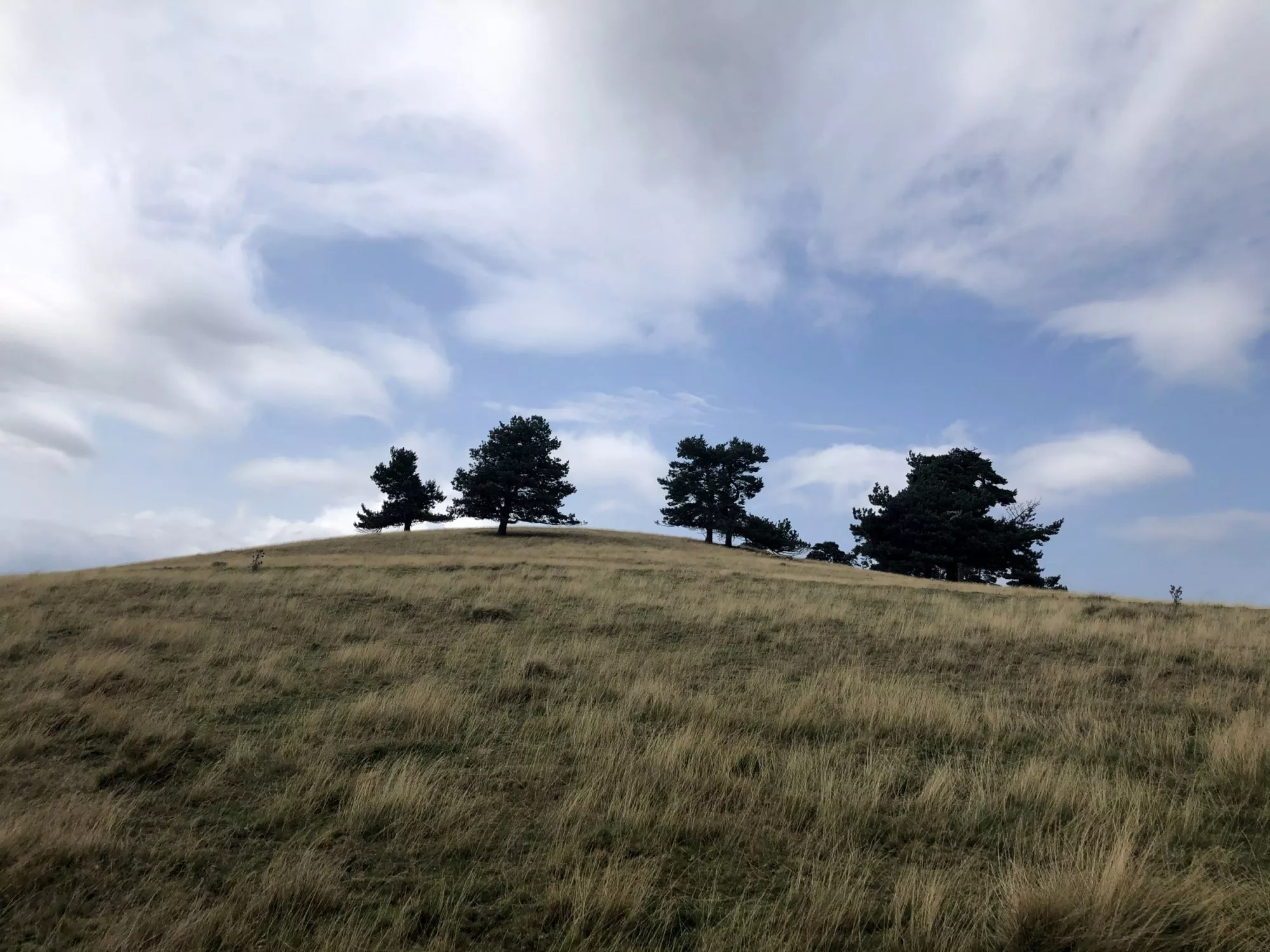 Hero background image